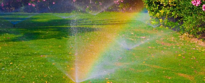Seasonal Lawn Care Checklist - Turf Rain