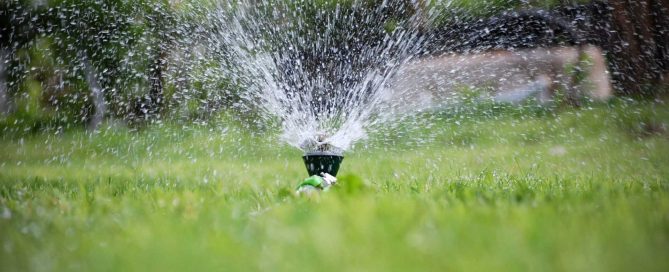 Top 7 Signs Your Sprinkler System Needs Immediate Repair - Turf Rain
