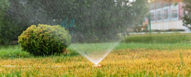 Why Your Lawn Has Dry Spots Even With a Sprinkler System - Turf Rain