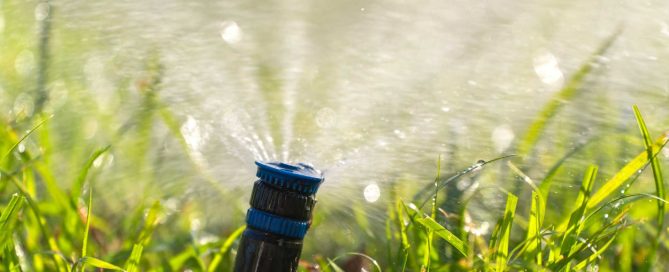 7 Common Mistakes When Winterizing and Spring-Starting Sprinklers (And What To Do Instead) - Turf Rain