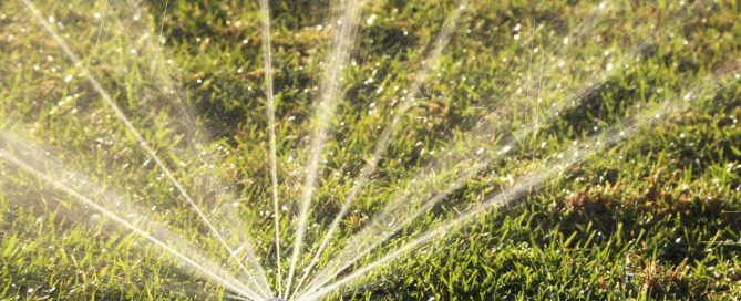 DIY Winterization and Your Warranty: What Homeowners Need to Know - Turf Rain