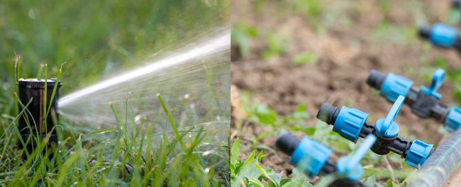 Drip vs. Spray Irrigation: Which is Better for Lawns - Turf Rain
