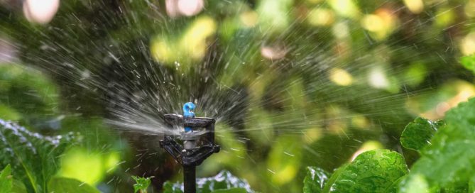 How to Reduce Your Water Bill with a Smart Irrigation System - Turf Rain