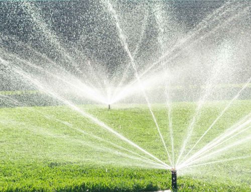 7 Common Winter Irrigation Maintenance Mistakes (And What to Do Instead)