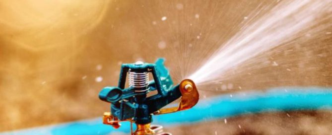 Should You Drain Backflow Preventer Assemblies on Your Sprinkler System? - Turf Rain