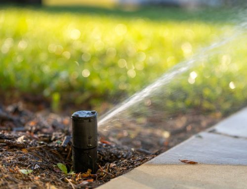 Typical Cost of Winter Irrigation Maintenance: What Homeowners Can Expect (Without Surprise Fees)