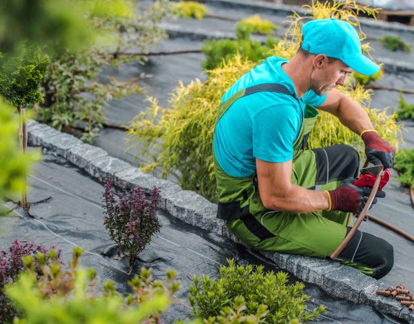 Things to Consider before Installing an Irrigation System – Turf Rain Things to Consider before Installing an Irrigation System - Turf Rain