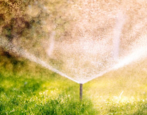 What Are The Advantages Of A Sprinkler Irrigation System? – Turf Rain What Are The Advantages Of A Sprinkler Irrigation System? - Turf Rain