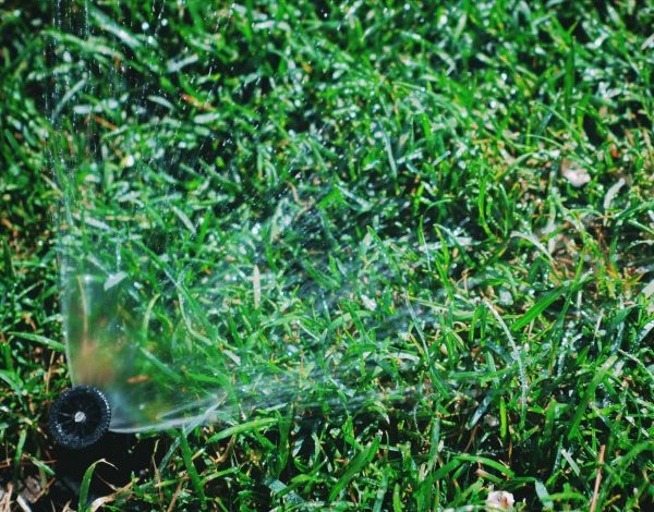 When to Stop Watering Your Lawn in The Fall? – Turf Rain When to Stop Watering Your Lawn in The Fall? - Turf Rain