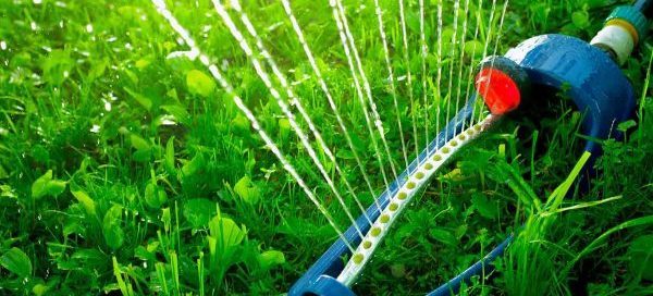 How To Adjust Your Irrigation System For Fall? - Turf Rain