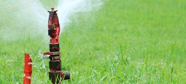 How do you Winterize Irrigation Sprinklers? - Turf Rain